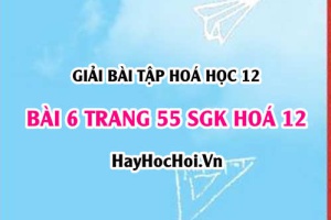 Giải bài 6 trang 55 SGK Hoá 12: Tính chất hoá học của Peptit và Protein